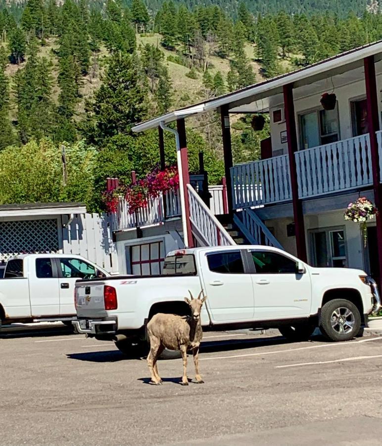 Mountain Springs Motel Рейдиум-Хот-Спрингс Экстерьер фото