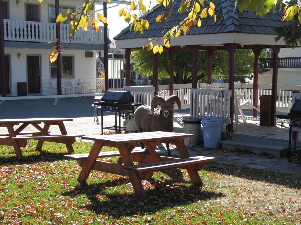 Mountain Springs Motel Рейдиум-Хот-Спрингс Экстерьер фото